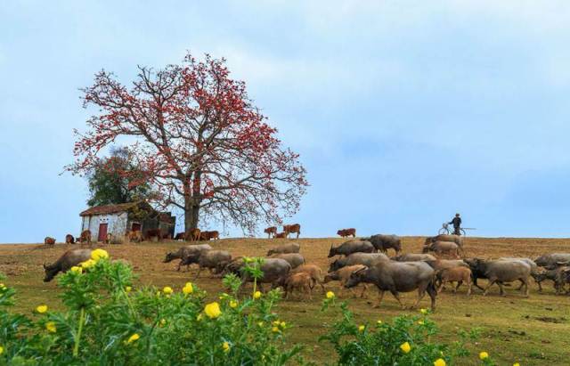 Triển lãm ảnh “Hương sắc trăm miền” năm 2017