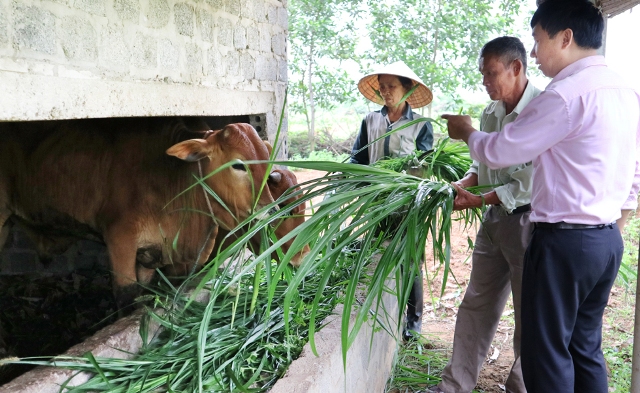 Bố Trạch, Quảng Bình Khi phụ nữ sử dụng vốn vay hiệu quả