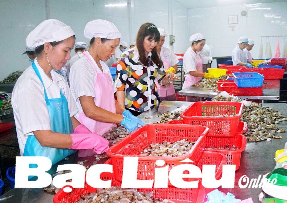 Doanh nghiệp Bạc Liêu Tăng tốc vào những tháng cuối năm