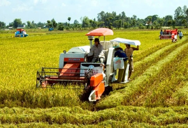 Hiệu quả bước đầu từ thực hiện cơ giới hóa trong sản xuất nông nghiệp