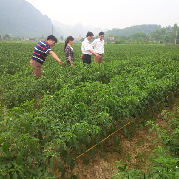 Ngân hàng Thế giới đánh giá cao kết quả phát triển kinh tế Việt Nam