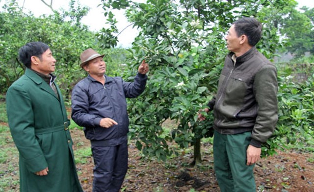 Cựu chiến binh Thành phố Đà Nẵng nêu cao truyền thống, phẩm chất “Bộ đội Cụ Hồ”