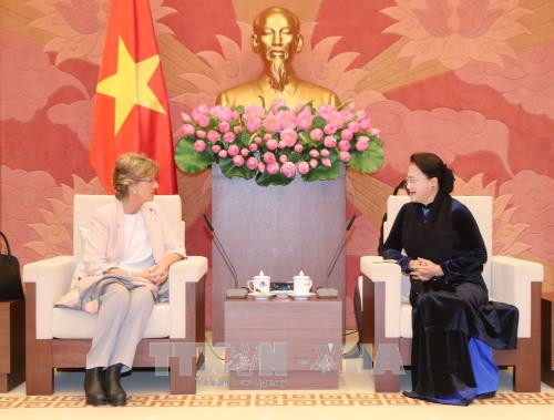 Chủ tịch Quốc hội Nguyễn Thị Kim Ngân tiếp Đại sứ Tây Ban Nha đến chào xã giao