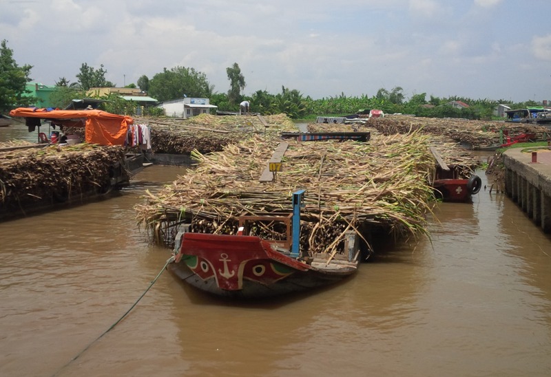 Phó Chủ tịch Ngân hàng Thế giới về Phát triển bền vững thăm Việt Nam