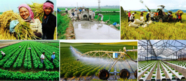 Nhìn lại cuộc Tổng điều tra nông thôn, nông nghiệp và thủy sản năm 2016