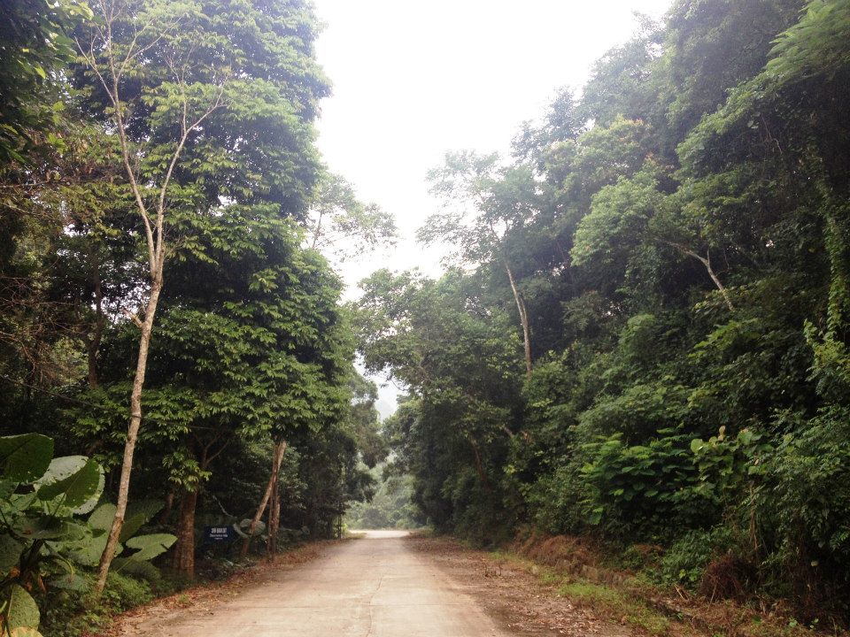 Vĩnh Phúc Tăng cường phòng chống cháy rừng