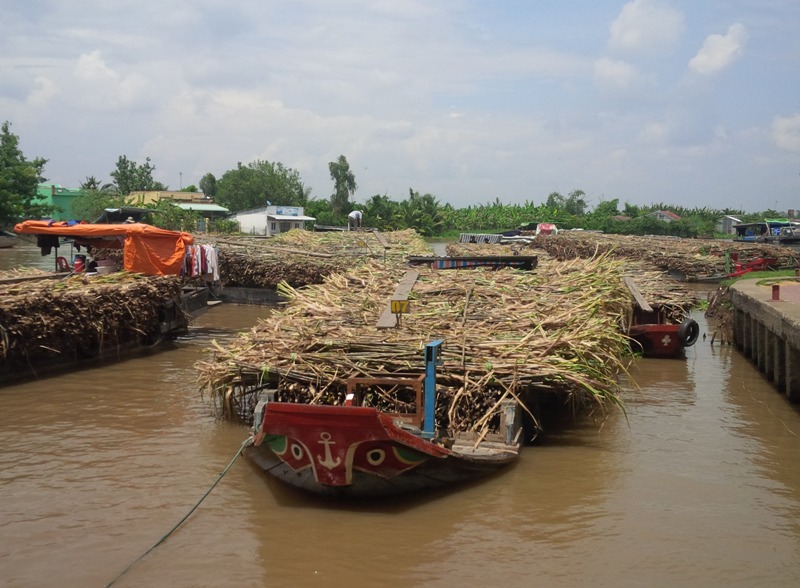 Ông Ousmane Dione đánh giá cao sự phát triển của đồng bằng sông Cửu Long