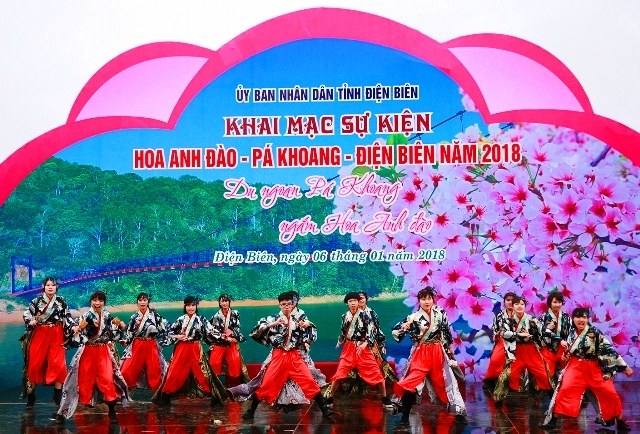 Khai mạc sự kiện Hoa Anh Đào - Pá Khoang - Điện Biên năm 2018