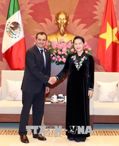 Chủ tịch Quốc hội Nguyễn Thị Kim Ngân tiếp Chủ tịch Thượng viện Mexico
