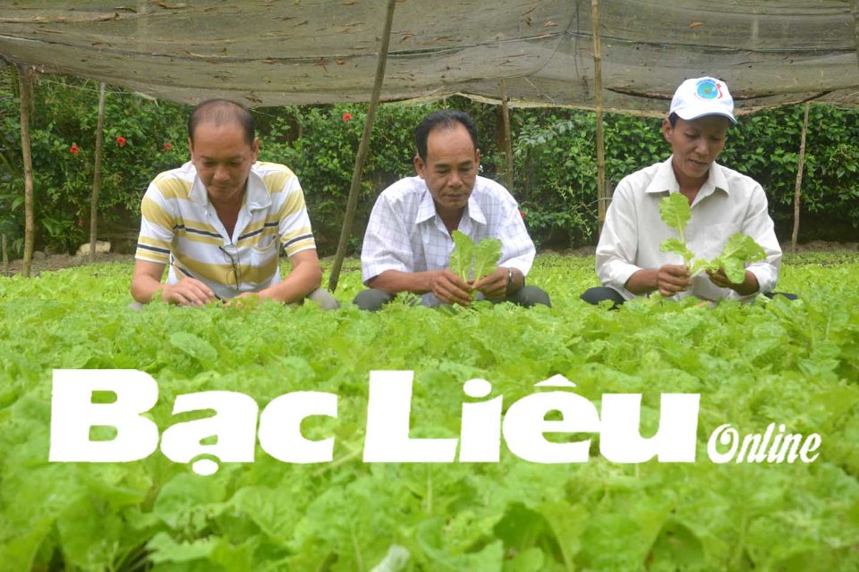 Vai trò Hội, đoàn thể trong vận động nông dân sản xuất nông sản sạch