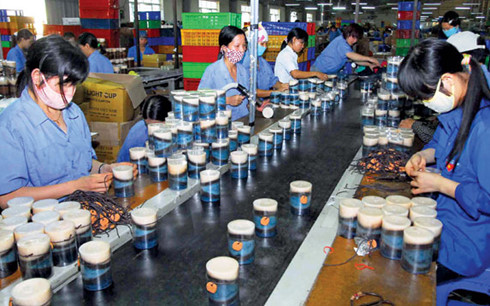 Đẩy mạnh thực hiện trách nhiệm xã hội của doanh nghiệp tư nhân