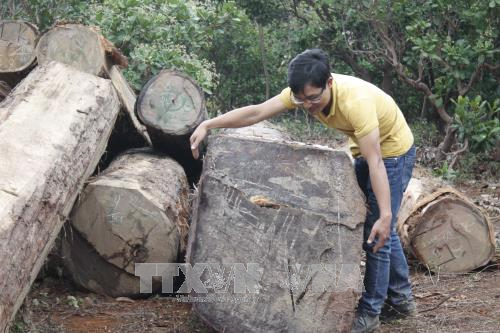 Phát hiện bãi tập kết gỗ trái phép dưới lòng hồ thủy điện Sê San 3A