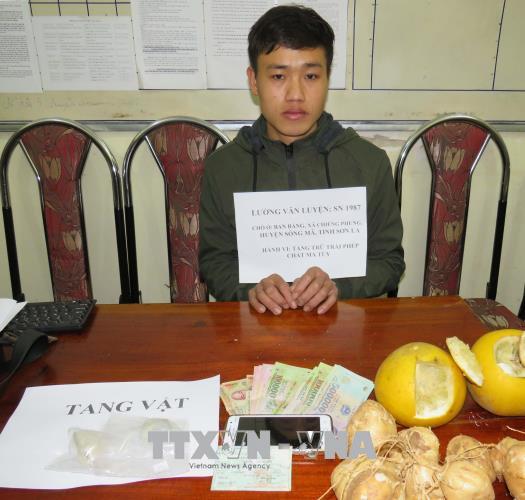 Bắt giữ các đối tượng tàng trữ, vận chuyển trái phép chất ma túy