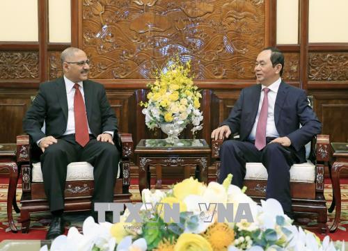 Chủ tịch nước Trần Đại Quang Việt Nam - Ai Cập còn rất nhiều tiềm năng hợp tác