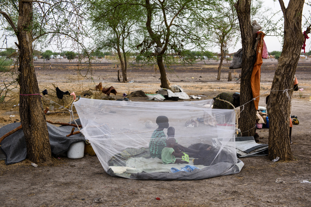 Tổ chức Di cư Quốc tế kêu gọi tài chính giúp đỡ Nam Sudan