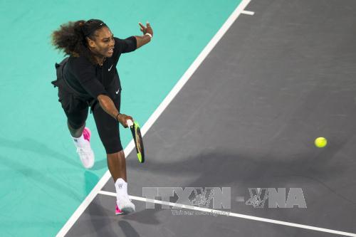 Australian Open 2018 Cơ hội nào cho các tay vợt nữ