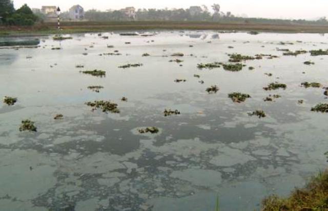 Sông Cửu An ô nhiễm nặng