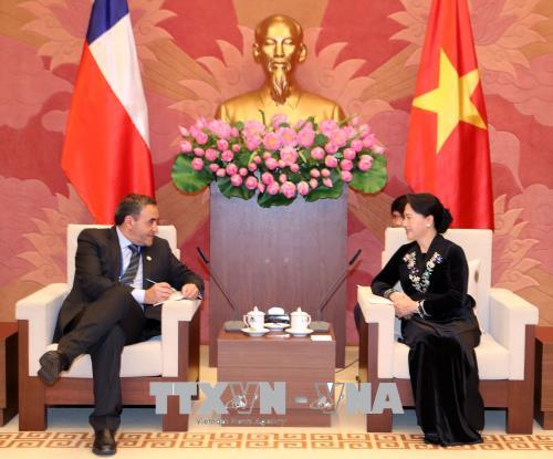 Chile mong muốn tăng cường hơn nữa quan hệ hợp tác với Việt Nam