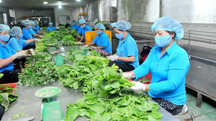 Phát triển kinh tế hợp tác xã nhanh và bền vững