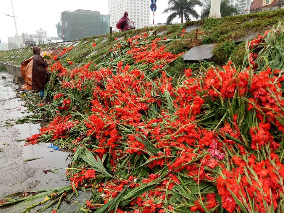 Người tiêu dùng cũng cần được “giải cứu”