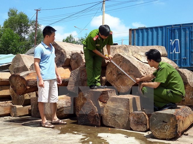 Hải Dương liên tiếp bắt giữ các vụ vận chuyển gỗ lậu ngay đầu năm mới