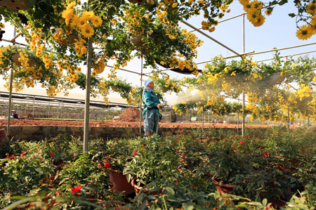 Tết về trên đất Xuân Quan