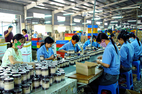 Một số giải pháp để phát triển kinh tế tư nhân