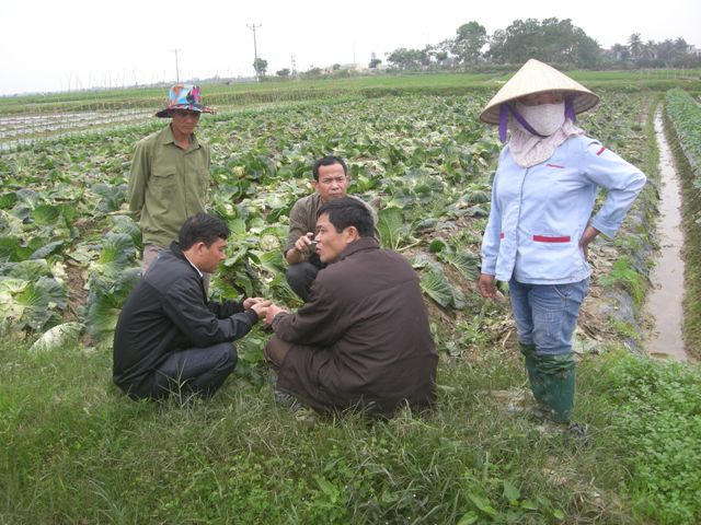 Phát triển kinh tế xanh trong bối cảnh hội nhập và phát triển bền vững