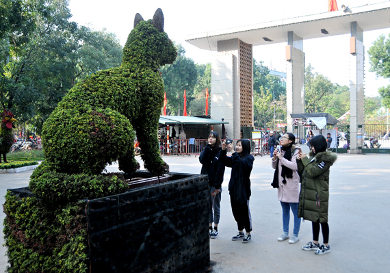 Ngắm 12 con giáp đón Tết Mậu Tuất 2018