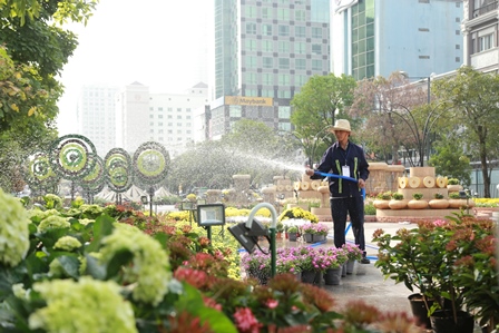 Đường hoa Nguyễn Huệ chuẩn bị sẵn sàng cho giờ khai hội