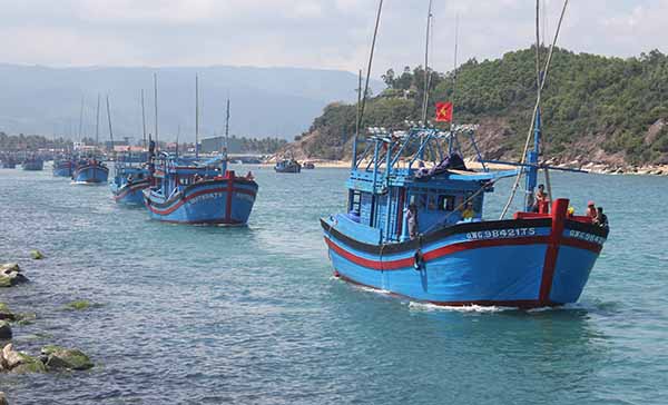 Ngư dân Hoài Nhơn Bình Định khai thác xa bờ có trách nhiệm