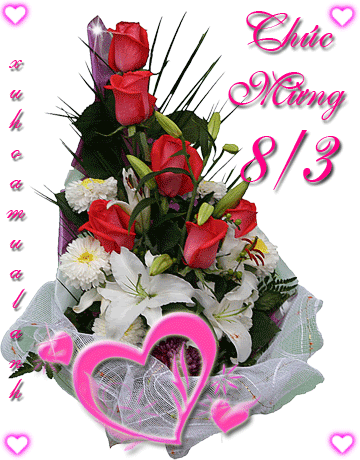 8-3 và những ngày bình thường