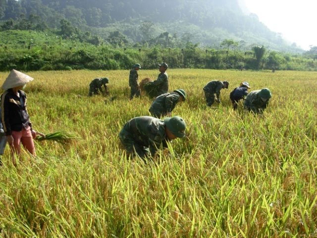 Chung sức đồng hành cùng nông dân vùng biên