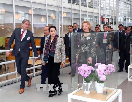 Chủ tịch Quốc hội Nguyễn Thị Kim Ngân thăm Trung tâm Nông nghiệp công nghệ cao World Horti Center