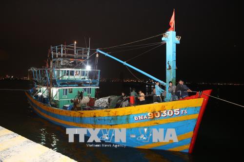 Đà Nẵng Cứu tàu cá cùng 11 ngư dân gặp nạn trên biển