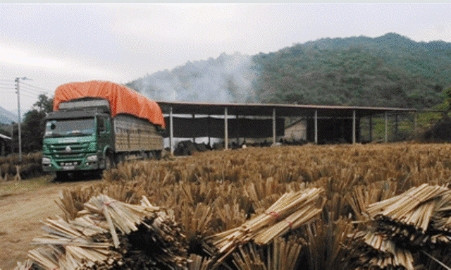 Đầu tư của Việt Nam sang Lào Hướng tới hiệu quả bền vững
