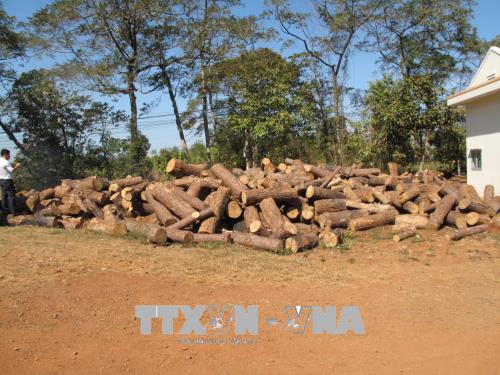 Khởi tố, tạm giam Chủ tịch UBND xã Đắk R’Tih