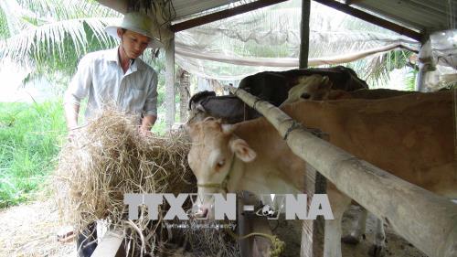 Lan tỏa tinh thần năng động, sáng tạo trong thanh niên nông thôn