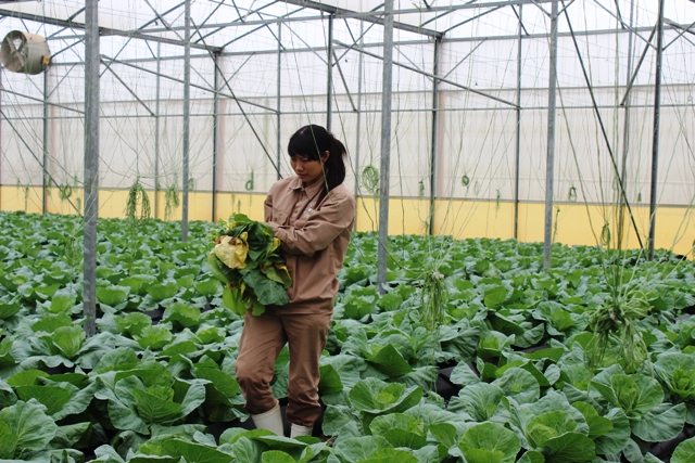 Xúc tiến, quảng bá thương hiệu nông sản, đặc sản vùng miền