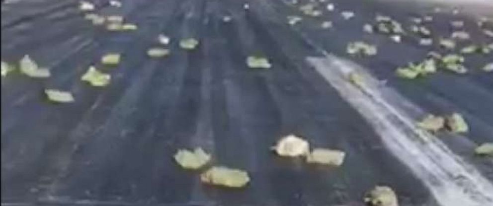 Nga Hơn 3 tấn vàng từ trên trời rơi xuống