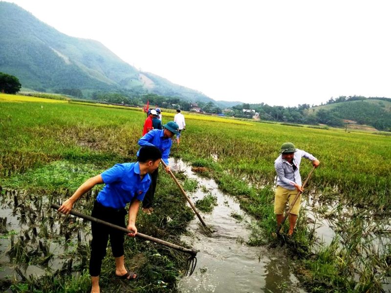 Phát huy vai trò của đoàn viên thanh niên trong phát triển kinh tế - xã hội