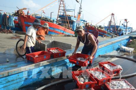 Khắc phục “thẻ vàng” IUU Quảng Trị giám sát tàu cá khai thác xa bờ