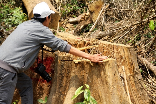 Hạt Kiểm lâm rừng đặc dụng Sông Thanh nói về tình hình phá rừng thuộc đơn vị quản lý
