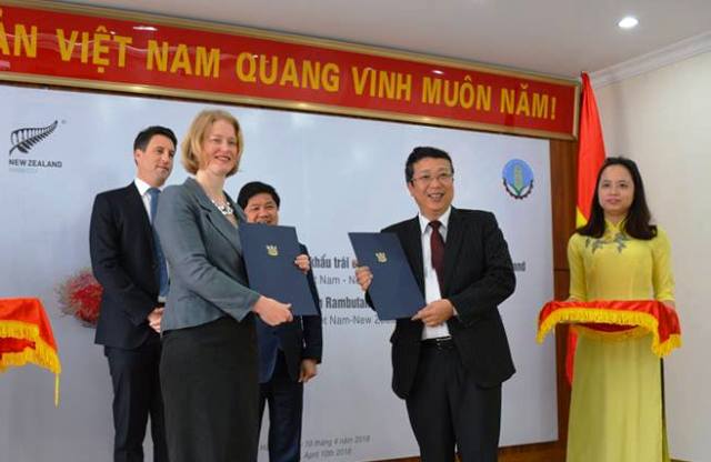 Lần đầu tiên xuất khẩu chôm chôm Việt Nam sang New Zealand