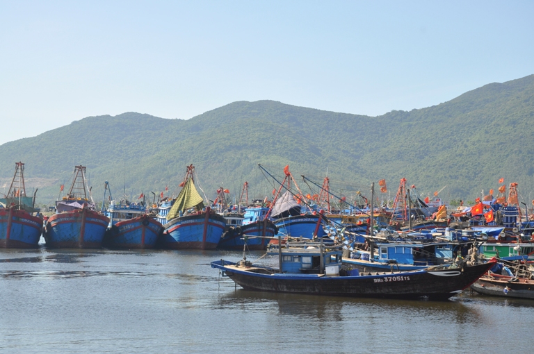 Nỗ lực đáp ứng các khuyến nghị của Ủy ban Châu Âu về khai thác thủy sản