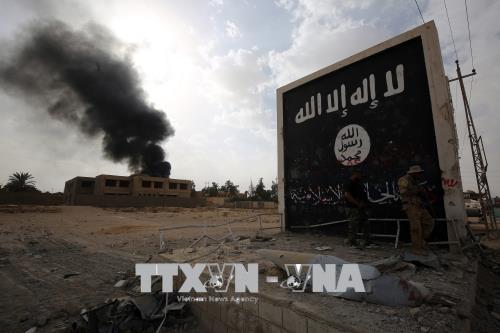 Giới phân tích nhận định IS đang tìm cách quay lại Iraq