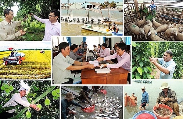 Bãi bỏ Quyết định sửa đổi một số mức hỗ trợ phát triển sản xuất