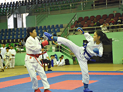 Hơn 250 vận động viên tham dự Giải Karate miền Nam lần thứ I năm 2018