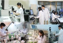 Thủ tướng giao các Bộ, ngành triển khai công tác pháp luật, khoa học và công nghệ