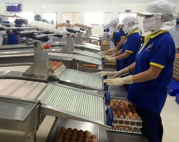 Nâng cao hiệu quả sản xuất và tiêu thụ nông sản